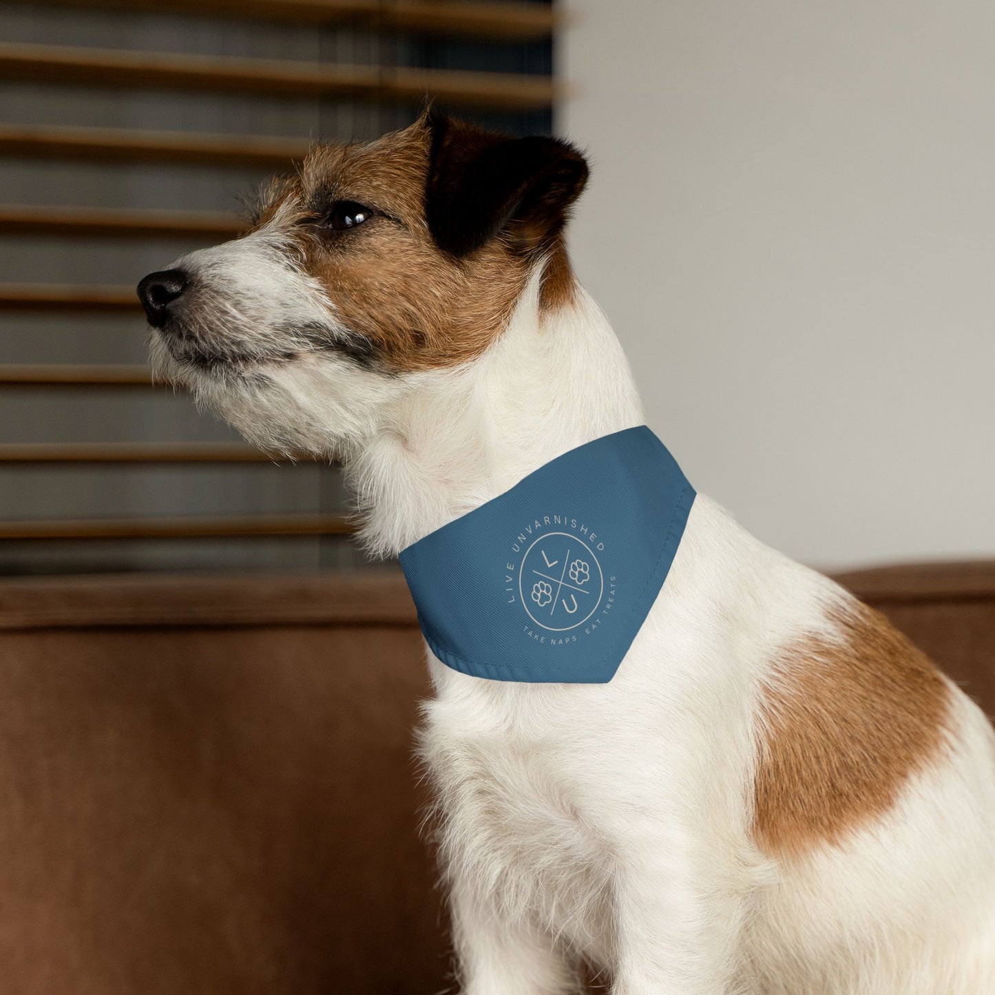 Live Unvarnished "Camp Style" Logo Pet Collar