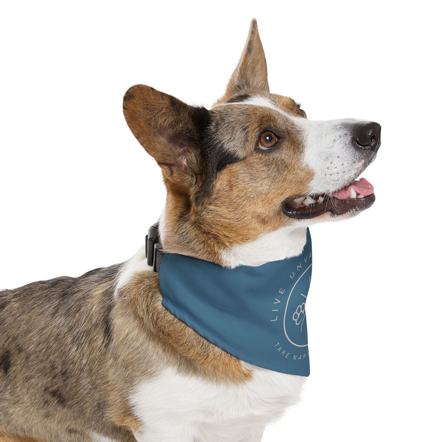 Live Unvarnished "Camp Style" Logo Pet Collar