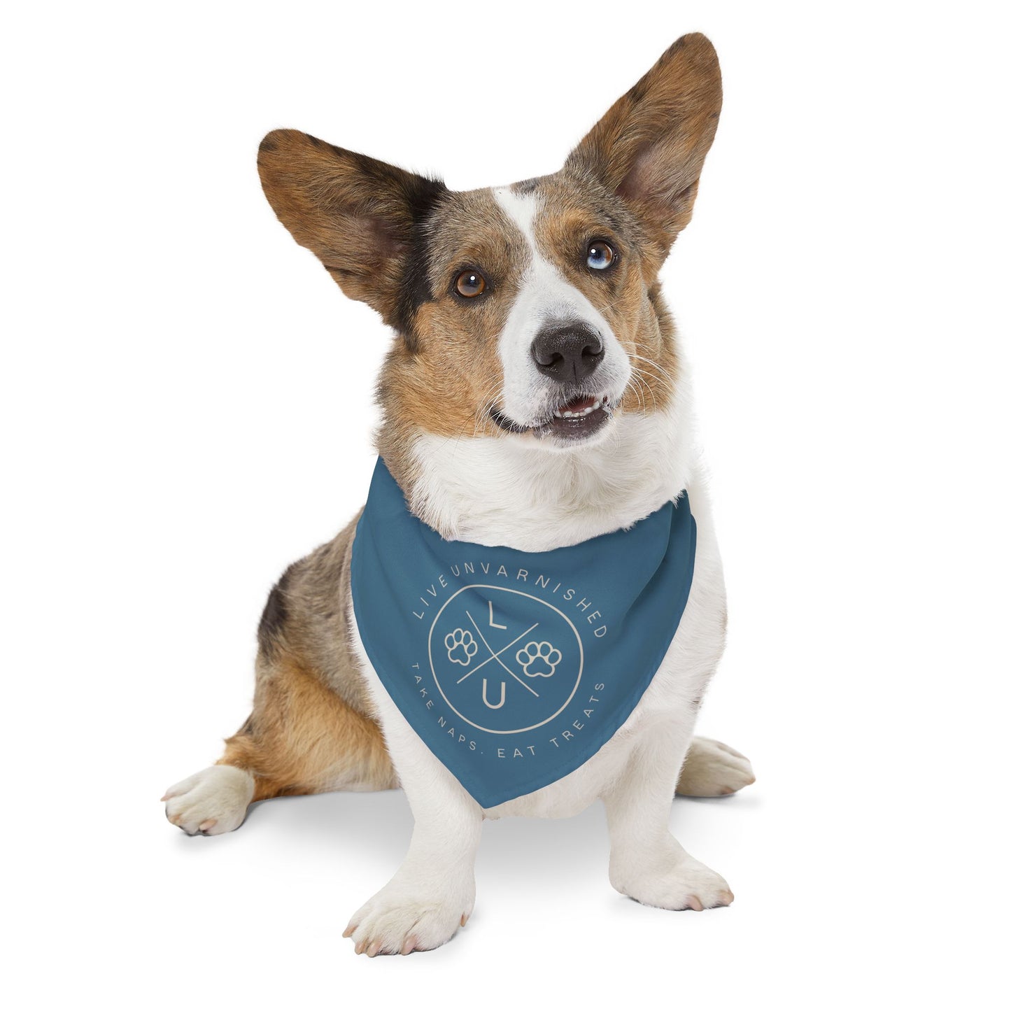Live Unvarnished "Camp Style" Logo Pet Collar