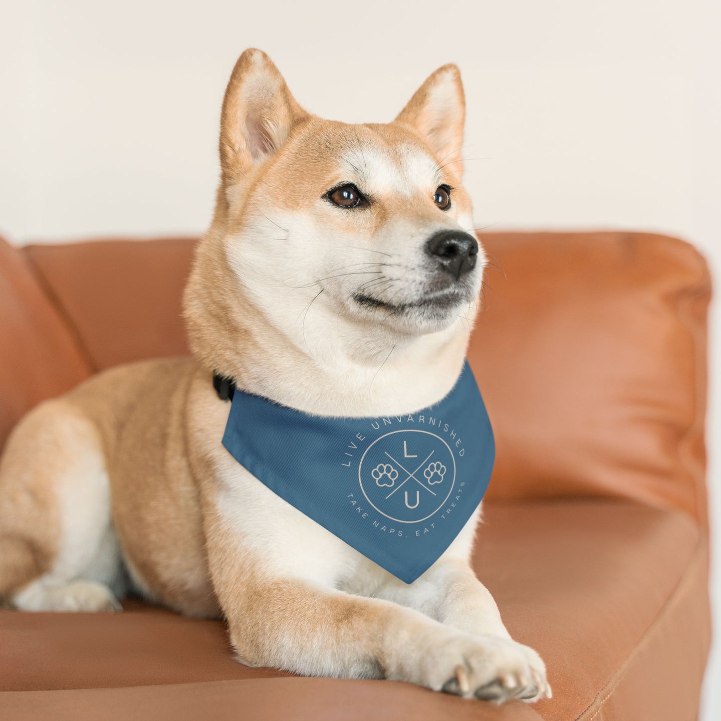 Live Unvarnished "Camp Style" Logo Pet Collar