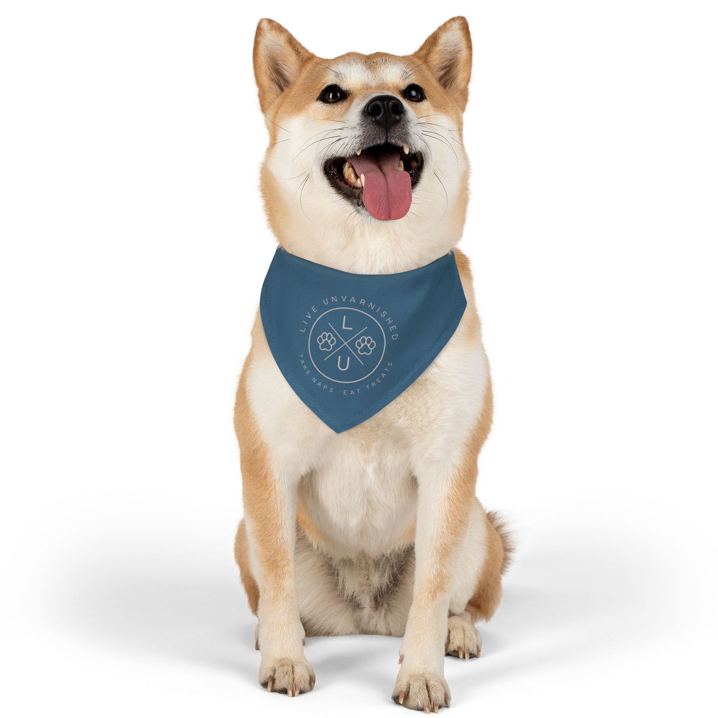 Live Unvarnished "Camp Style" Logo Pet Collar