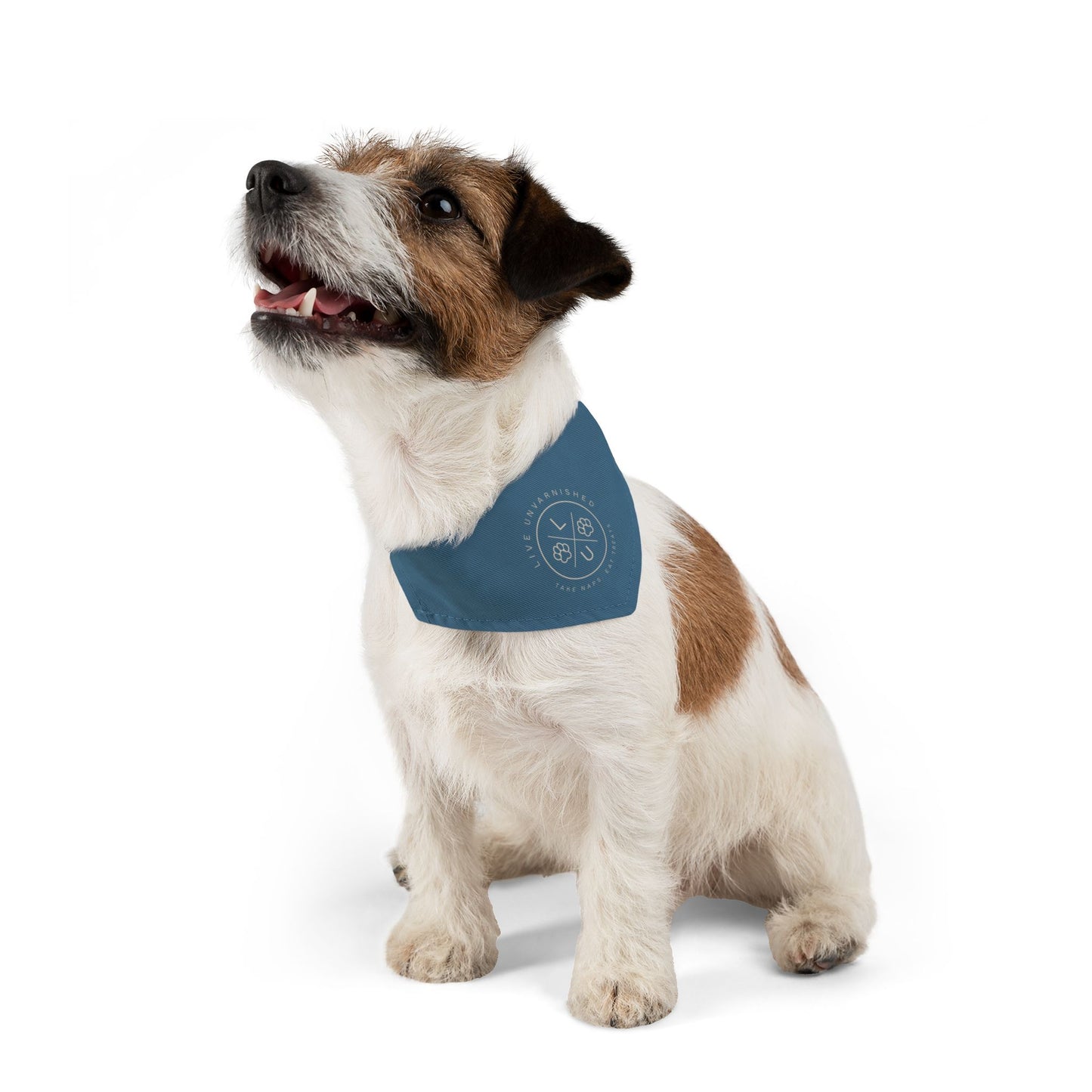 Live Unvarnished "Camp Style" Logo Pet Collar